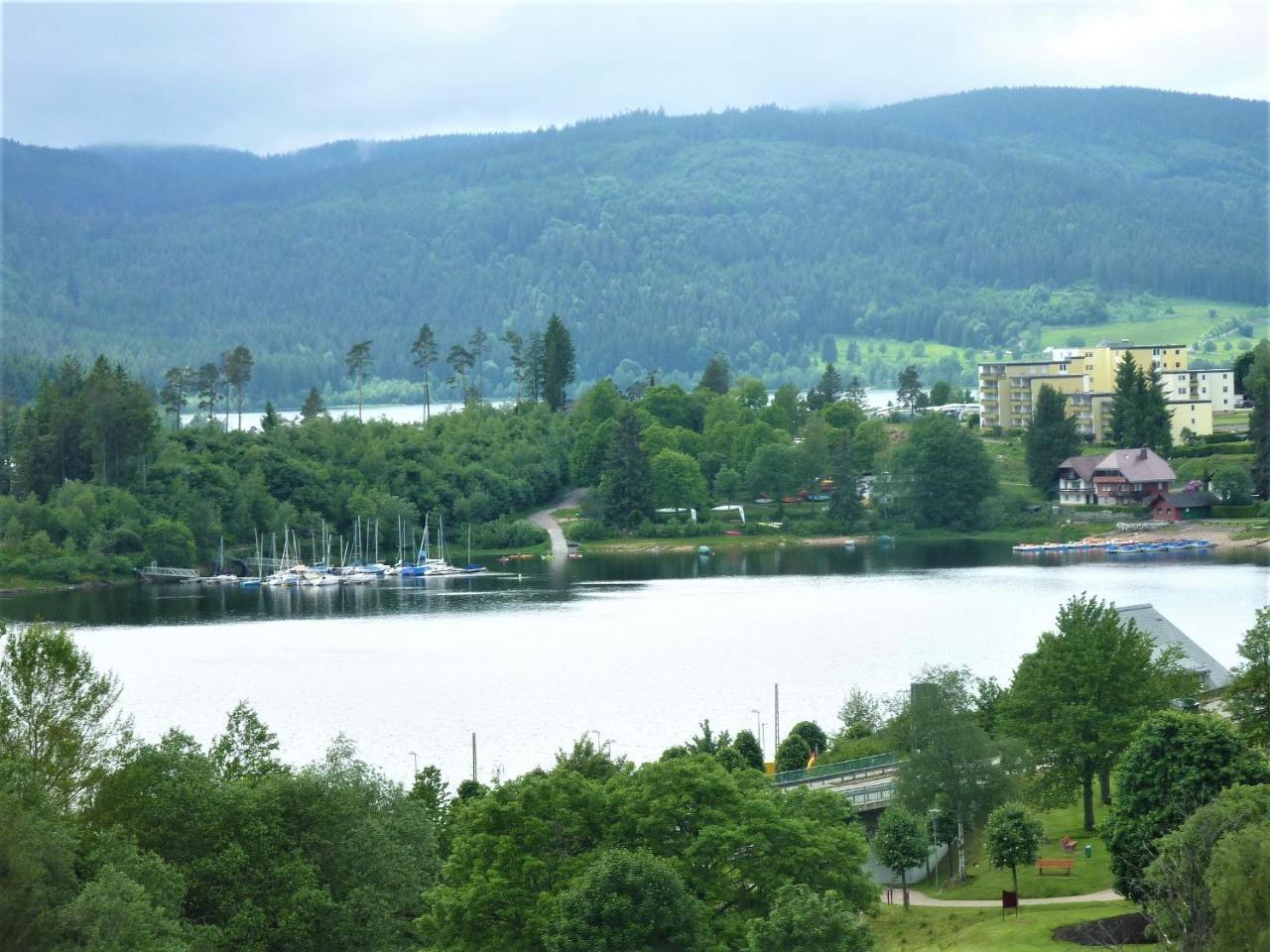 Appartement Haus Dilger à Schluchsee Extérieur photo