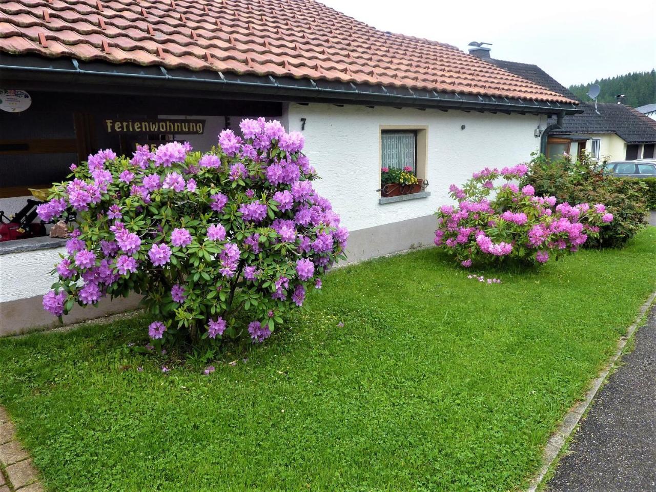 Appartement Haus Dilger à Schluchsee Extérieur photo