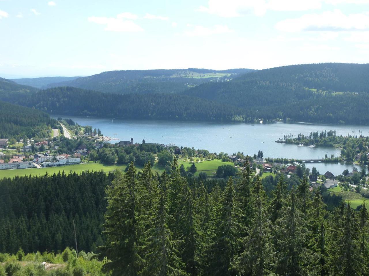 Appartement Haus Dilger à Schluchsee Extérieur photo